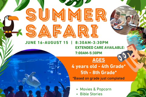 Summer Safari